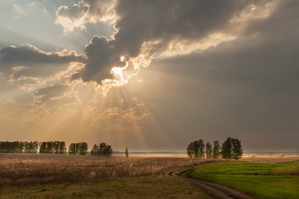 Пейзаж "Майский луг"