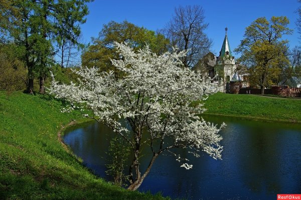 Весна в России