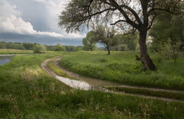 Пасмурный май природа фото