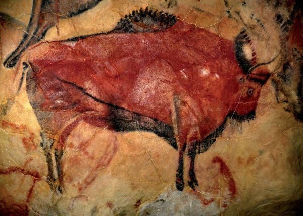 Бизон пещера Альтамира Испания