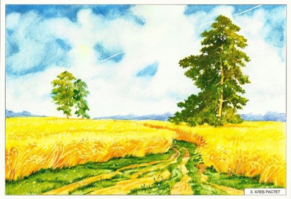 Рисование хлебное поле