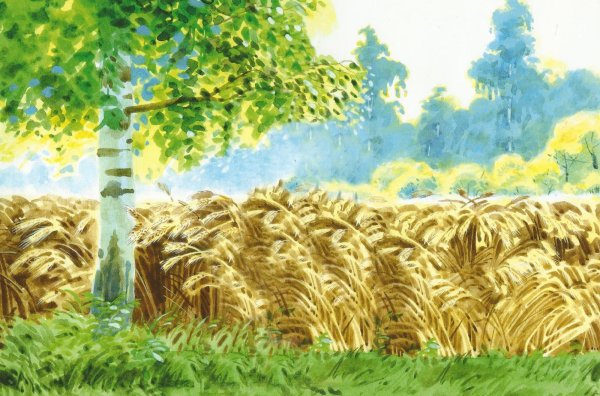 Рисование хлебное поле