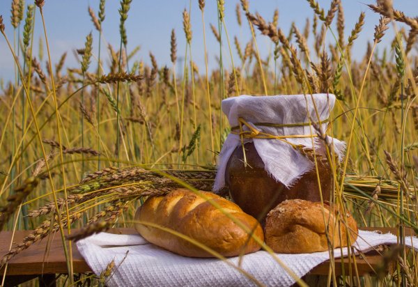 Хлеб пшеница
