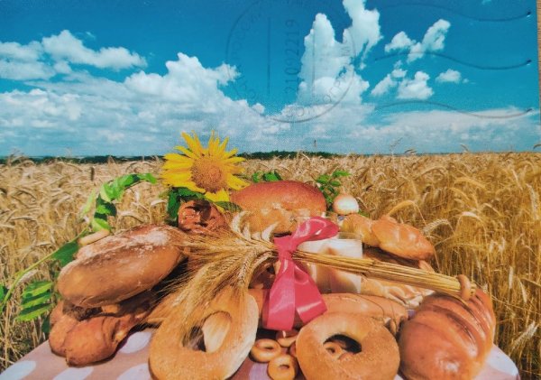 Хлеб в поле