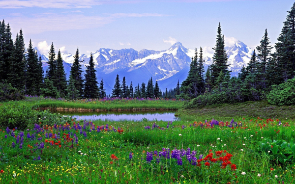 "Скалистые горы" Канада Альпийские Луга