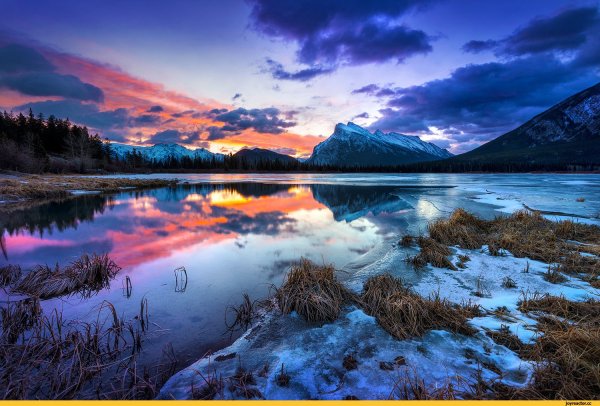 Красивые пейзажи природы