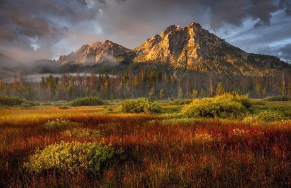 Лесное озеро в Канаде