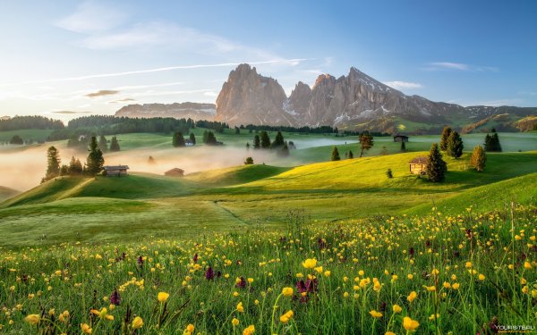 Спокойный пейзаж