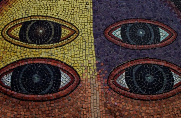 Стрекоза симметрия