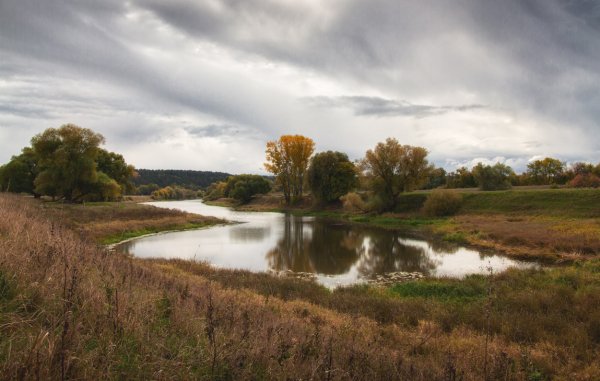 Осенние поля живопись