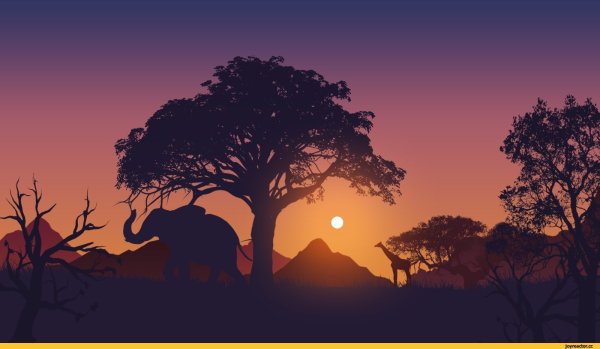 Король Лев баобаб