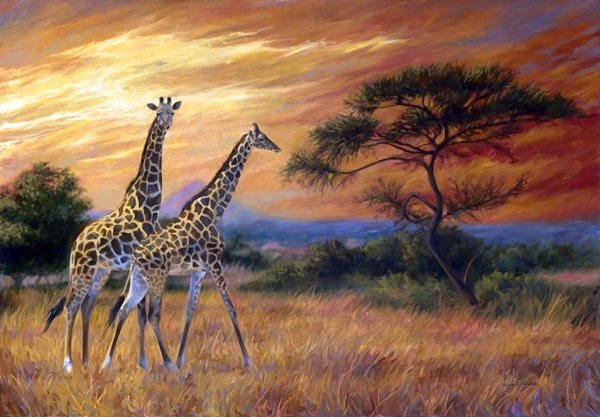 Солнце в Африке