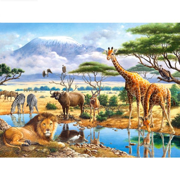 Madagascar остров мультфильм джунгли