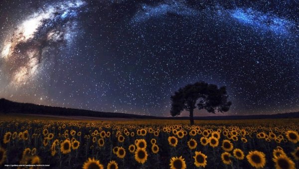 Звездное небо летом