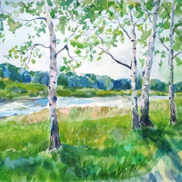 Береза акварелью