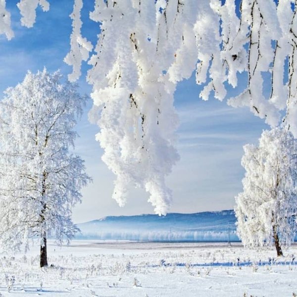 Красота зимы