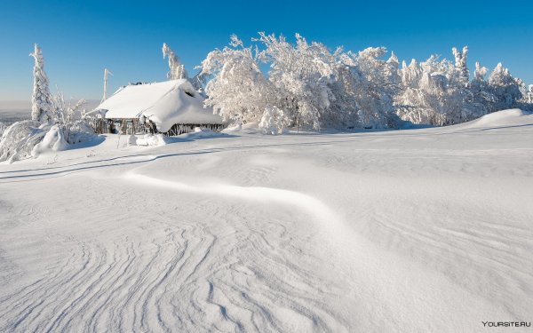 Снежный пейзаж