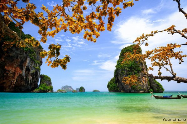 Фон острова с пальмами