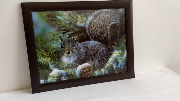 Линзовидная картина