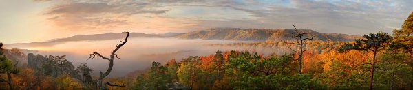 Пейзаж длинный