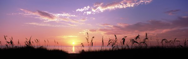 Пейзаж длинный