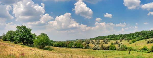 Красивая природа