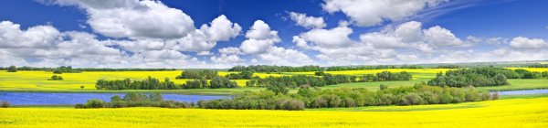 Панорама природа