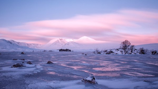 Арктическая пустыня и тундра