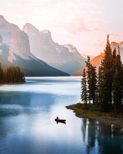 Бенгальская кошка Сьюки