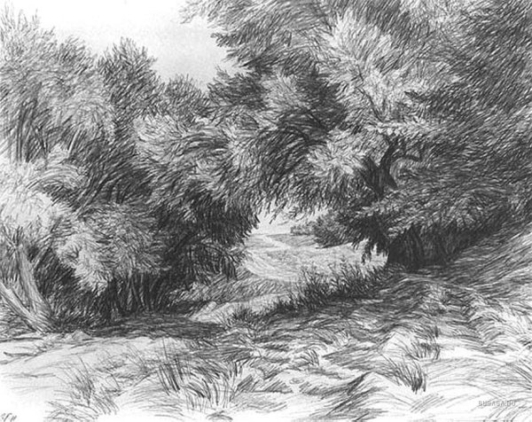 Живопись штрихами