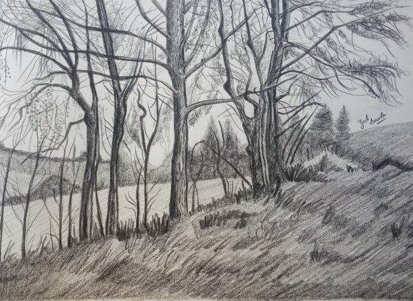 Рисунок природа штриховка карандашом