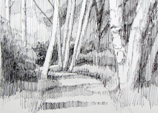 Лес рисунок карандашом для срисовки