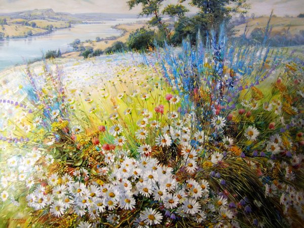 Александр Сердюков полевые цветы