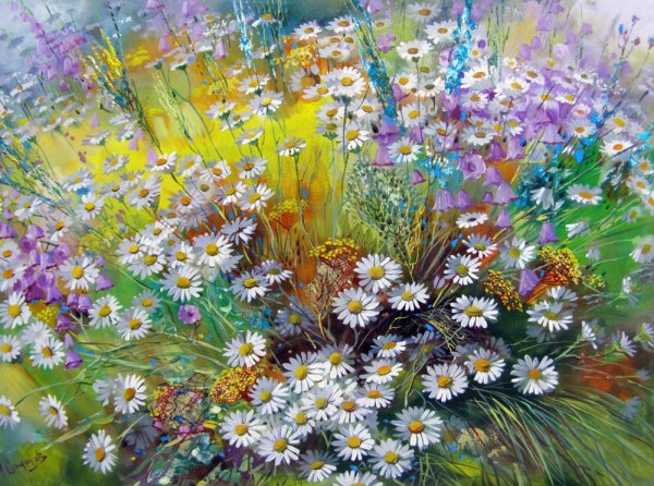 Александр Сердюков летние полевые цветы