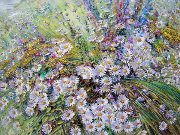 Александр Сердюков полевые цветы