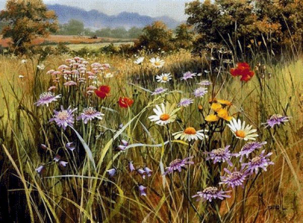 Мэри Дипнолл (Mary Dipnall)