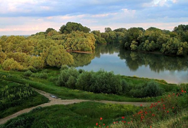 Хутор Деревянковка Славянский район Краснодарский край