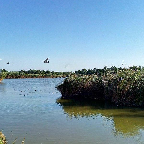 Озеро Толока Славянск