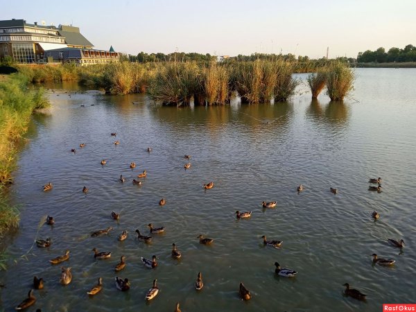 Город Славянск Краснодарский край