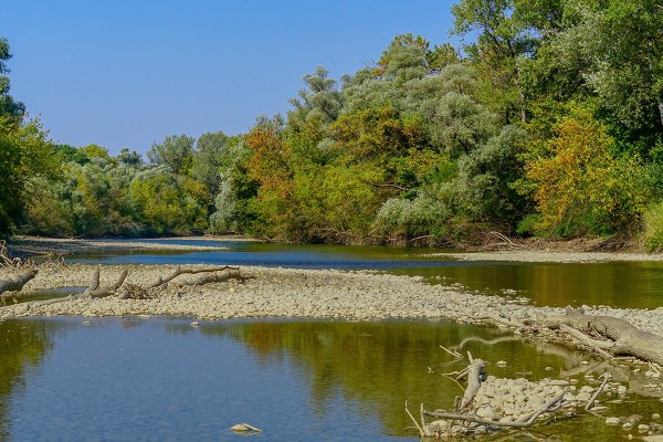 Река протока Краснодарский край