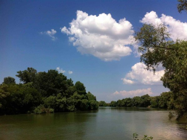 Река протока Славянск на Кубани