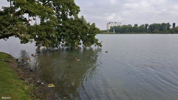 Славянск-на-Кубани Краснодарский край