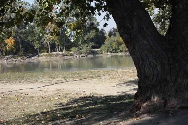 Свято-Успенский храм Славянск-на-Кубани