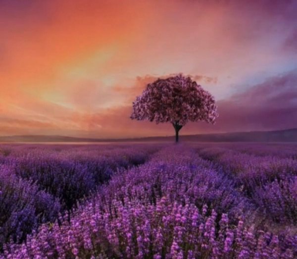 Красивый пейзаж