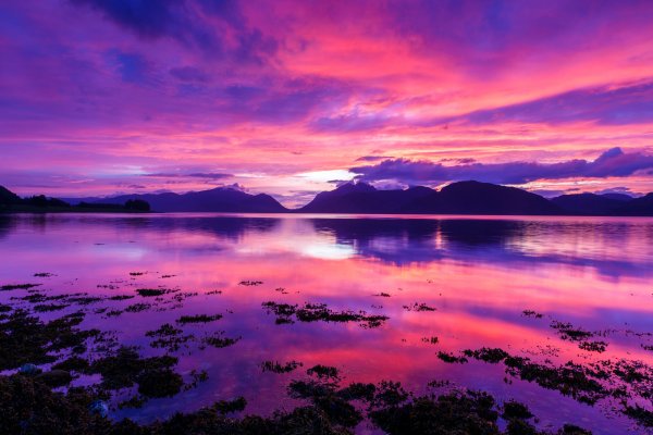 Фиолетовый закат