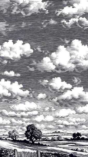 Пейзаж штрихами