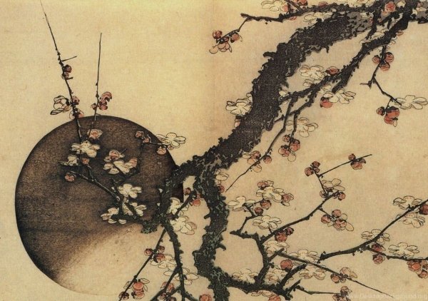 Кацусика Хокусай Сакура