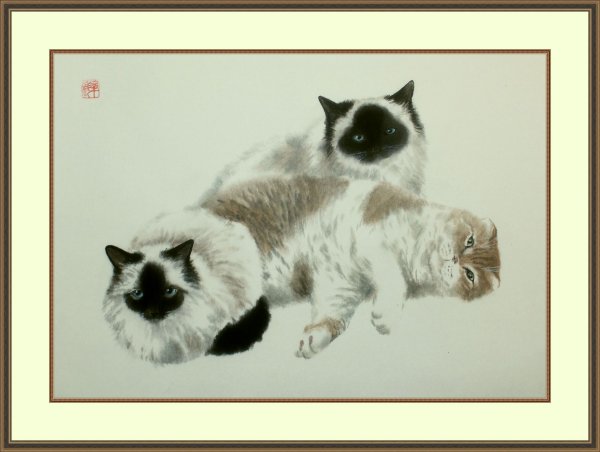 Подсолнух гунби