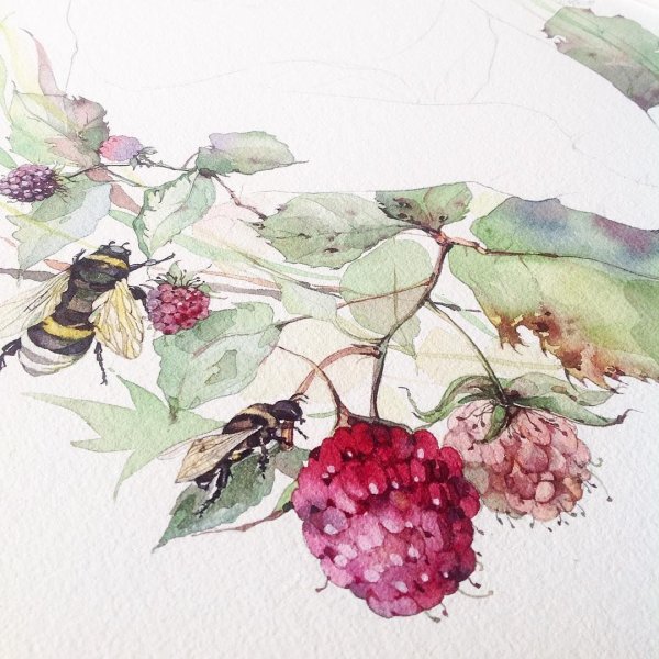 Катерина Савченко акварель