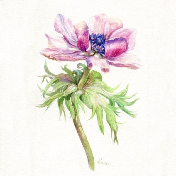 Алина Митрикова художник